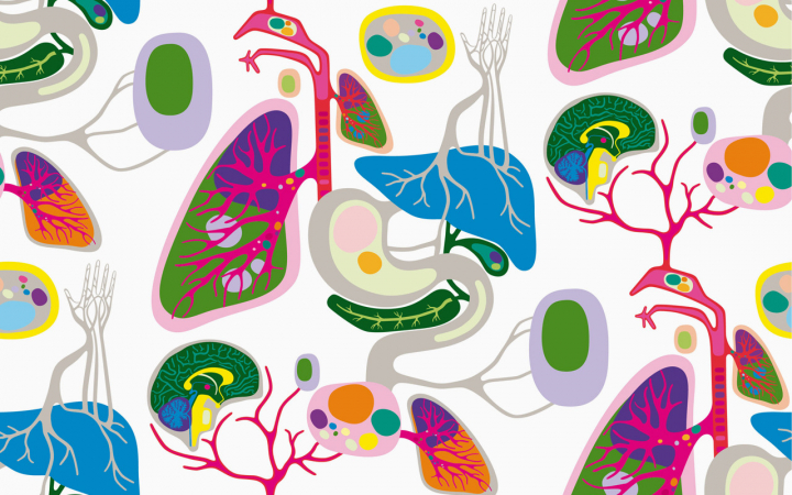 Hasil gambar untuk BIOLOGI